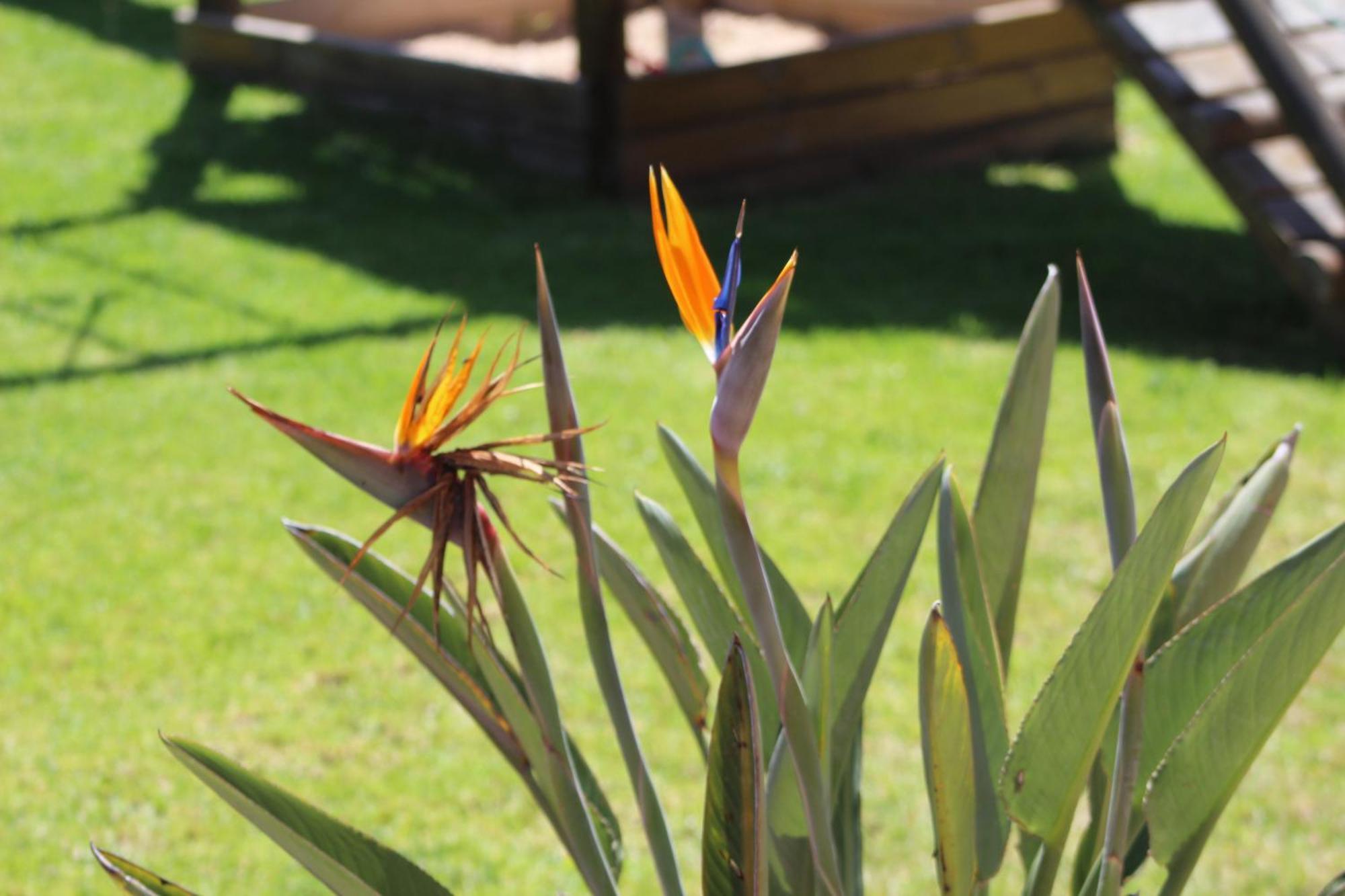 Hartenbos Private Game Lodge Exterior foto