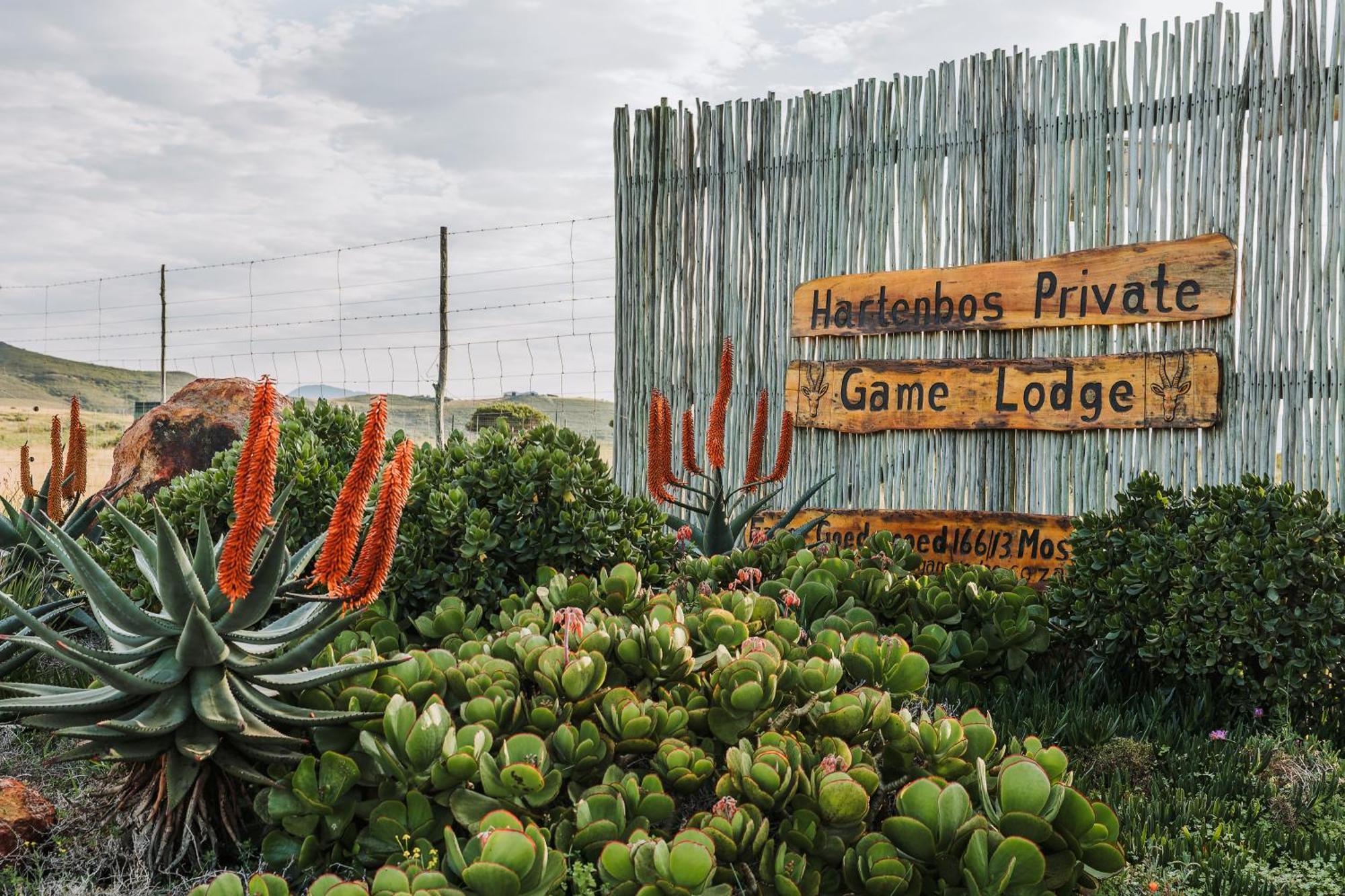 Hartenbos Private Game Lodge Exterior foto