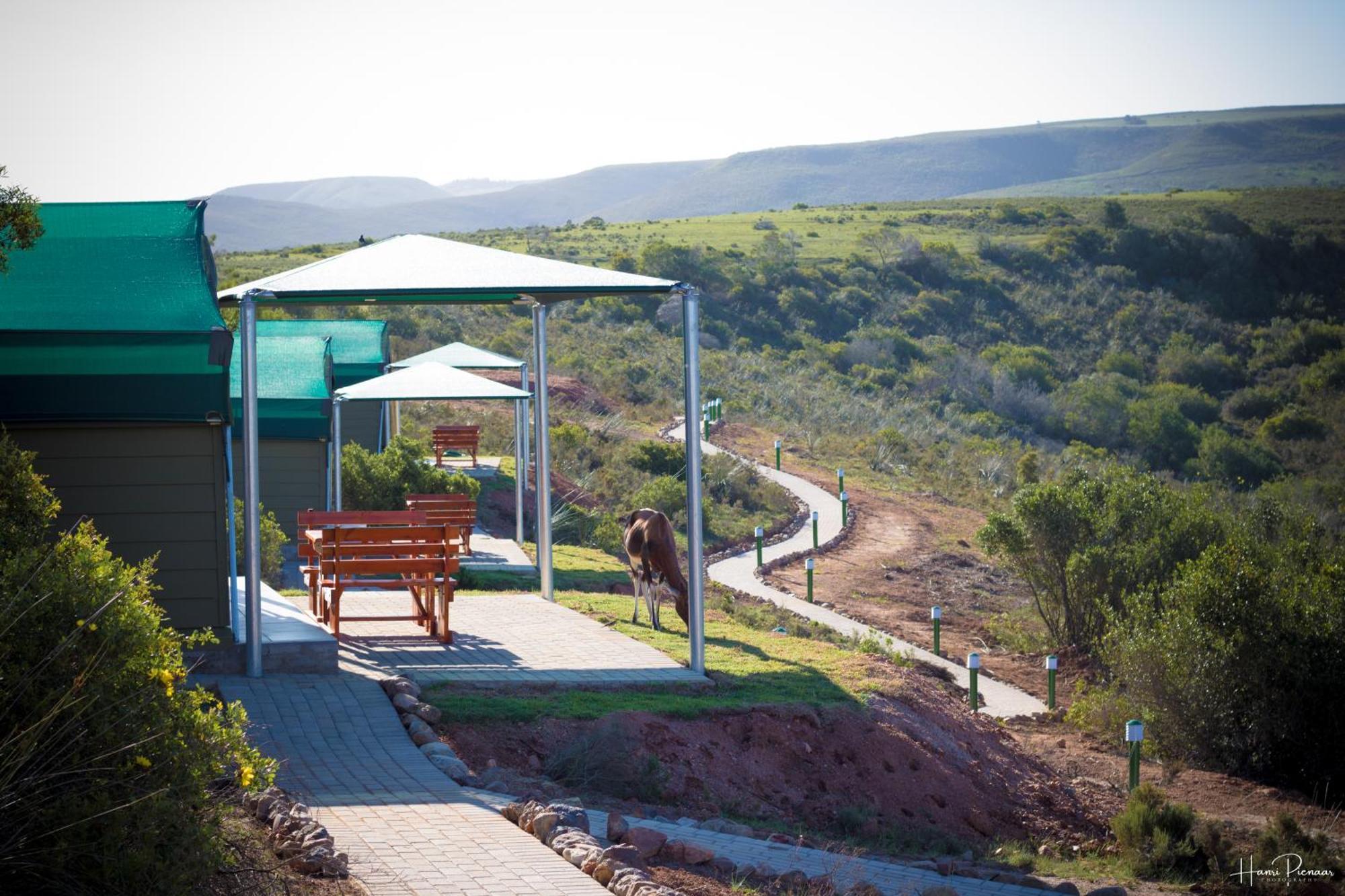 Hartenbos Private Game Lodge Exterior foto